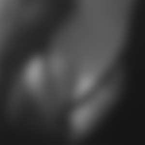 rencontre-Cougar-Blois