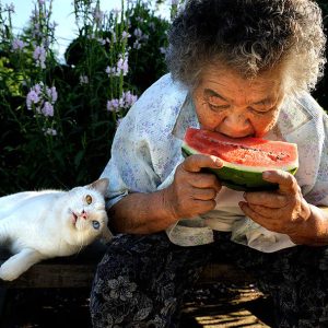 Linh - rencontre-Cougar-Dunkerque