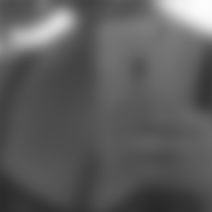 rencontre-Cougar-Salon-de-Provence