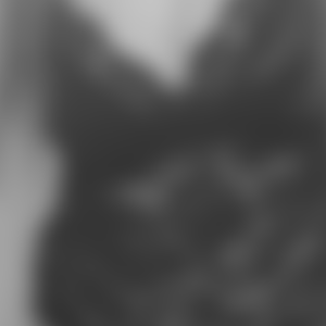 rencontre-Cougar-Toulouse