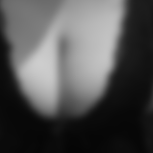 rencontre-Cougar-Vitry-sur-Seine